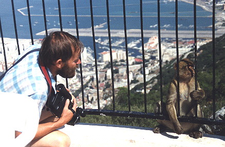Talking to a Barbary ape