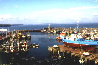 Hafen von Dunmore
